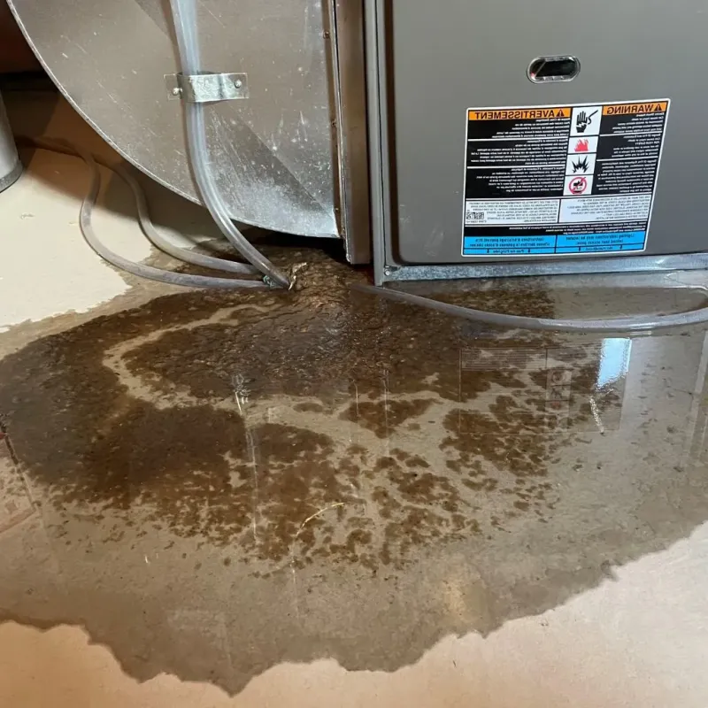 Pipe Burst and Leak Restoration in Oceanport, NJ